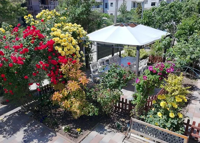 Flux Mamaia Nord Pensionat 3*